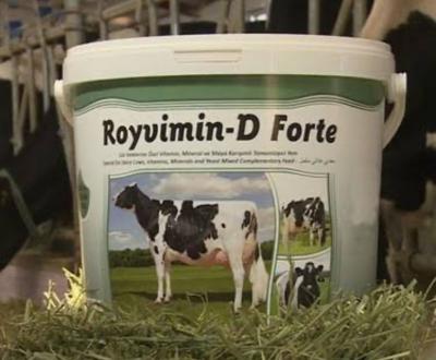 ROYAL ROYVİMİN D FORTE