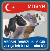 mersin ili damızlık sığır yetiştiriciler birliği mersin ili damızlık sığır yetiştiriciler birliği